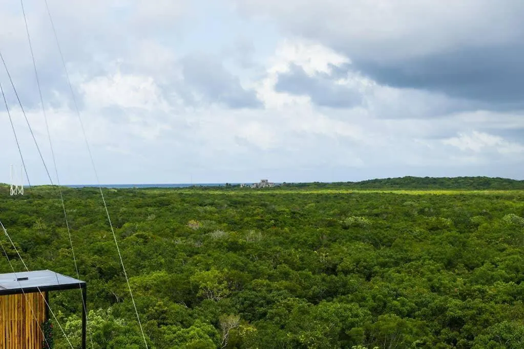 Apartment Rooftop Pool Paradise With Jungle Views Tulum Mexico
